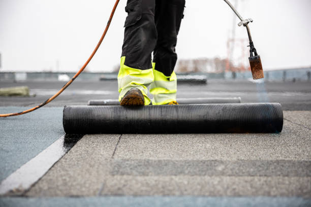 Best Roof Moss and Algae Removal  in Cherry Hill, VA